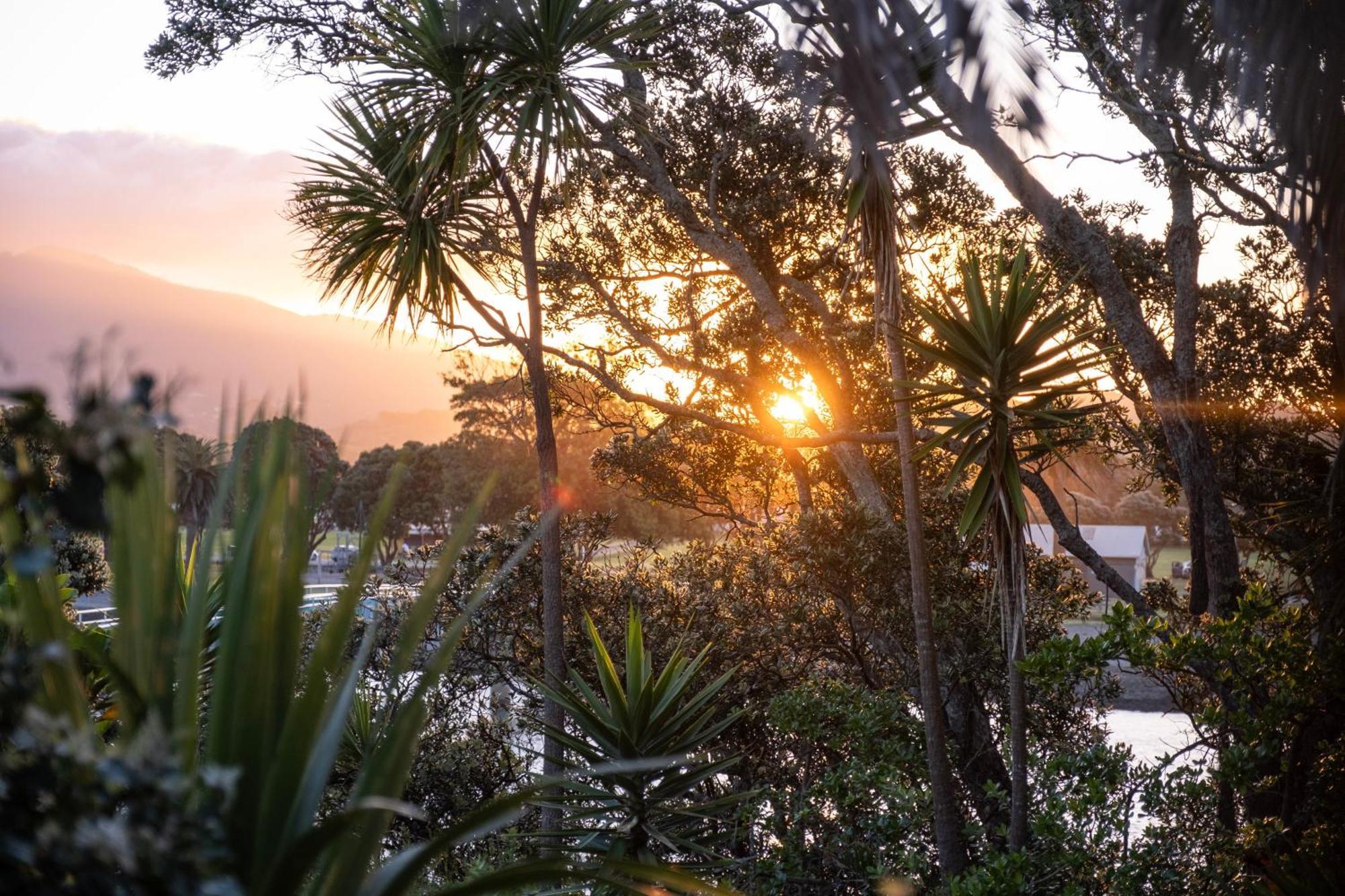 Bow Street Apartments & Cottage Raglan Esterno foto