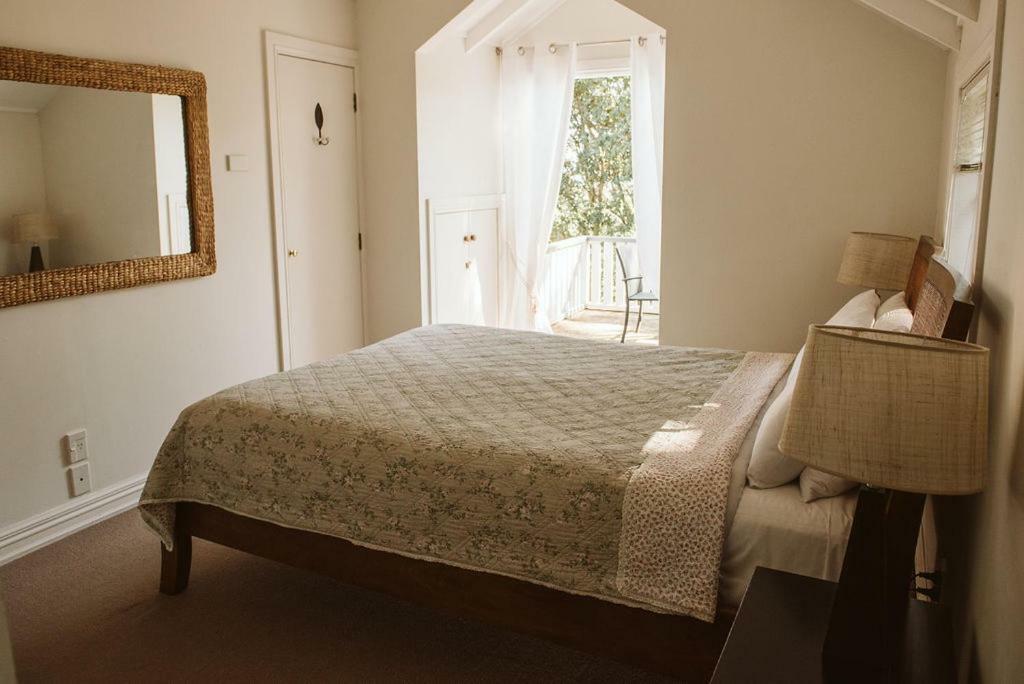 Bow Street Apartments & Cottage Raglan Esterno foto